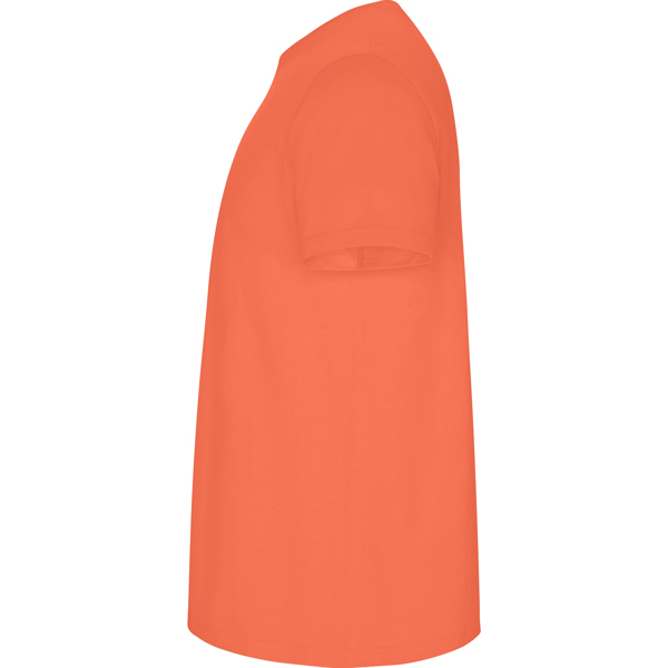 ROLY CAMISETA STAFFORD