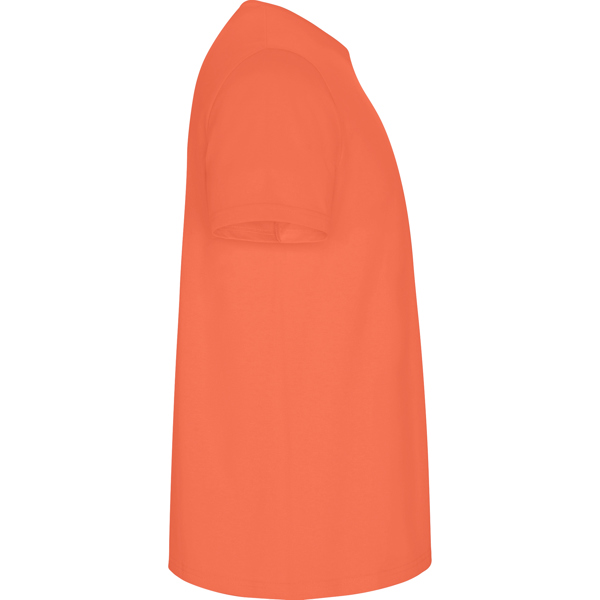 ROLY CAMISETA STAFFORD