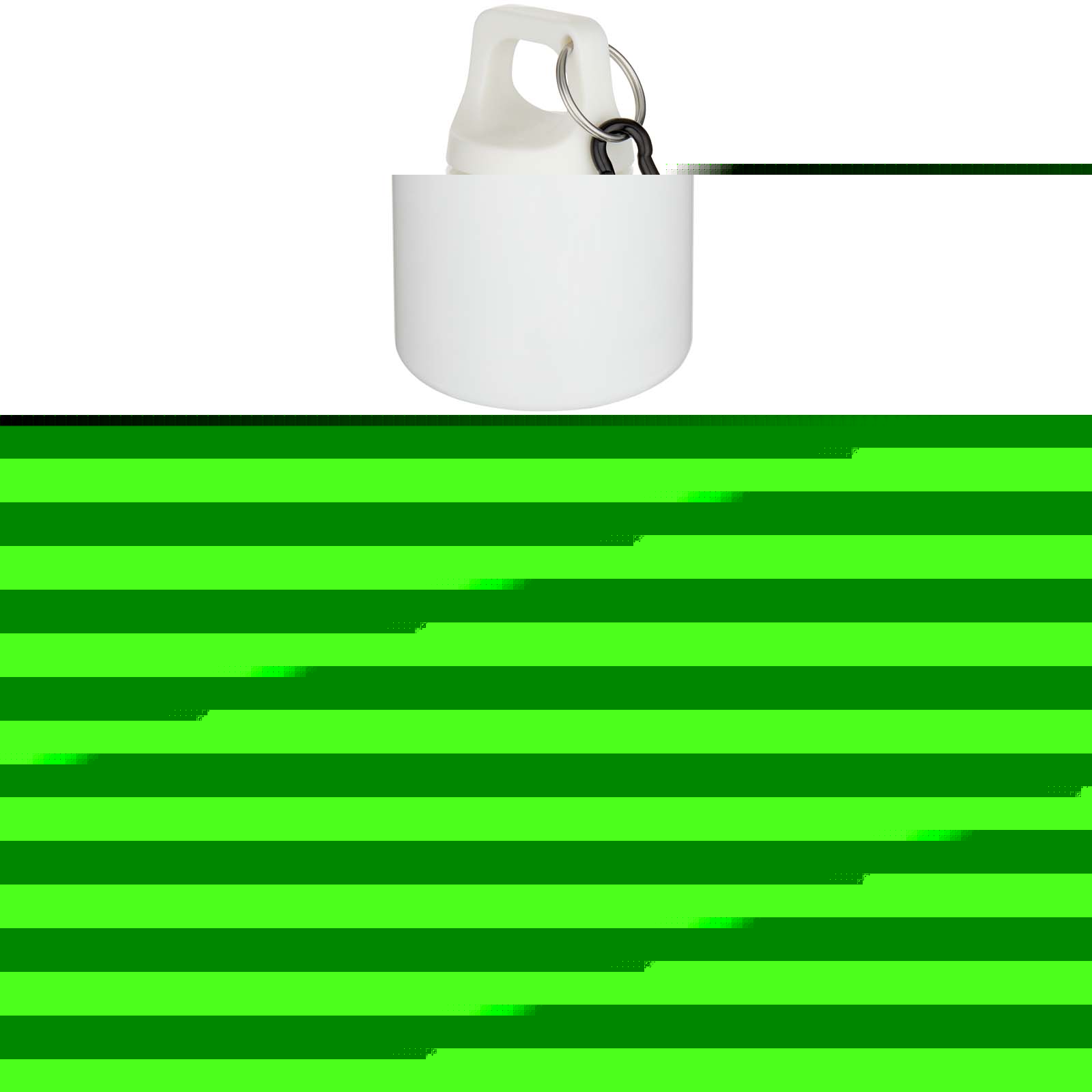 Botella de 750 ml con mosquetón en color liso de plástico reciclado con certificado RCS Oregon