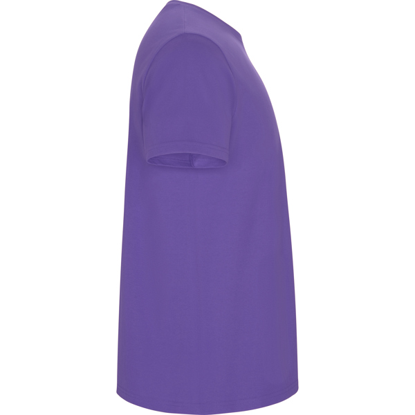 ROLY CAMISETA STAFFORD