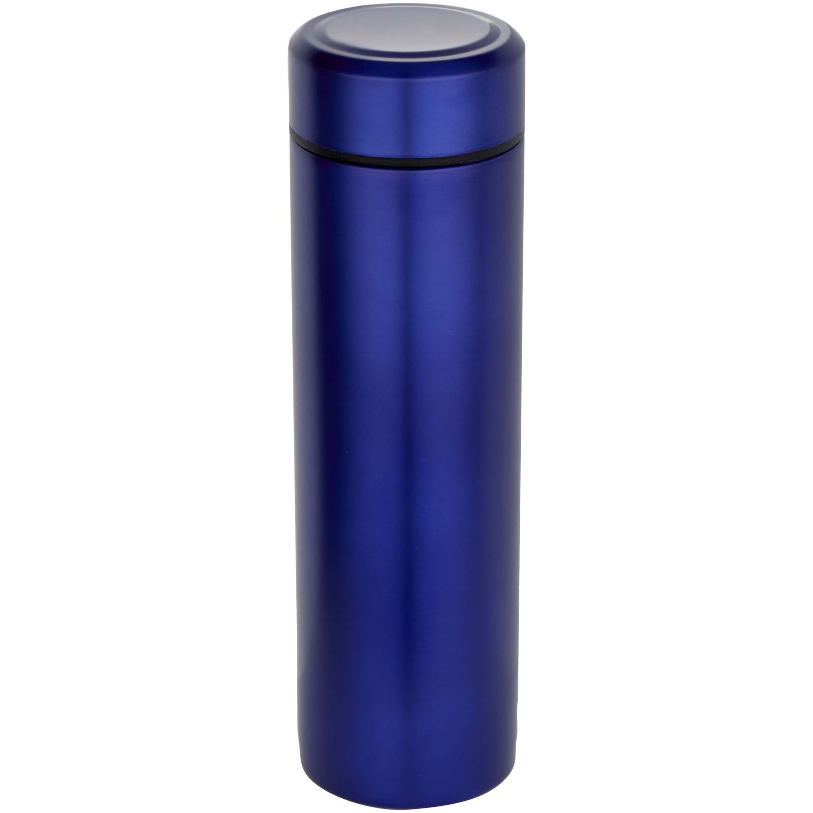 Termo de acero inoxidable de doble pared de 450 ml con colador de té Taylor