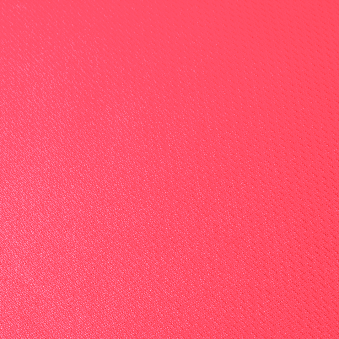 Camiseta Mujer Cocker