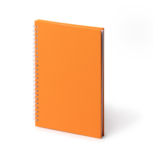 NOTEBOOK MISTROL