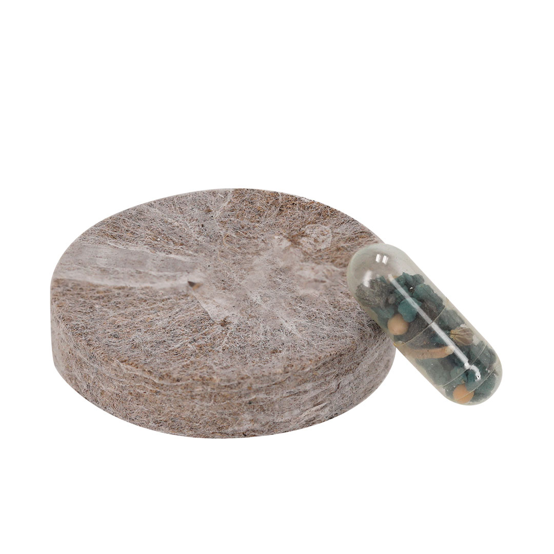 Plantable Pack Aquael