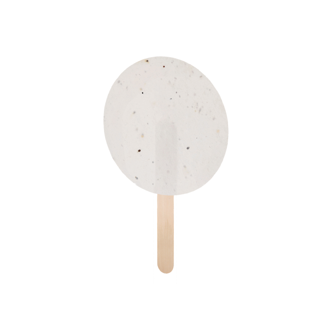 Plantable Pai Pai Luluar