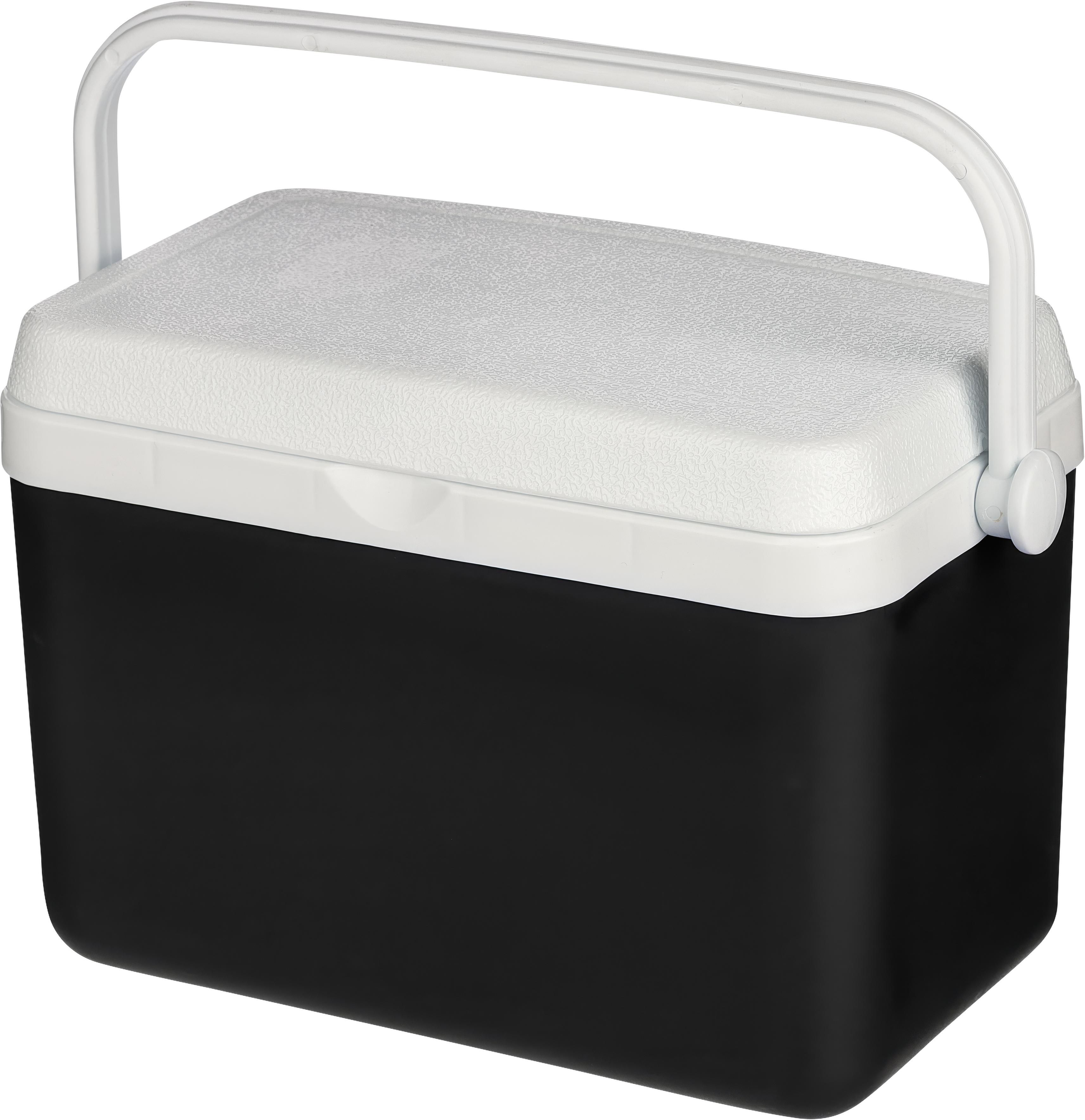 Nevera portátil 4l Sunkissed