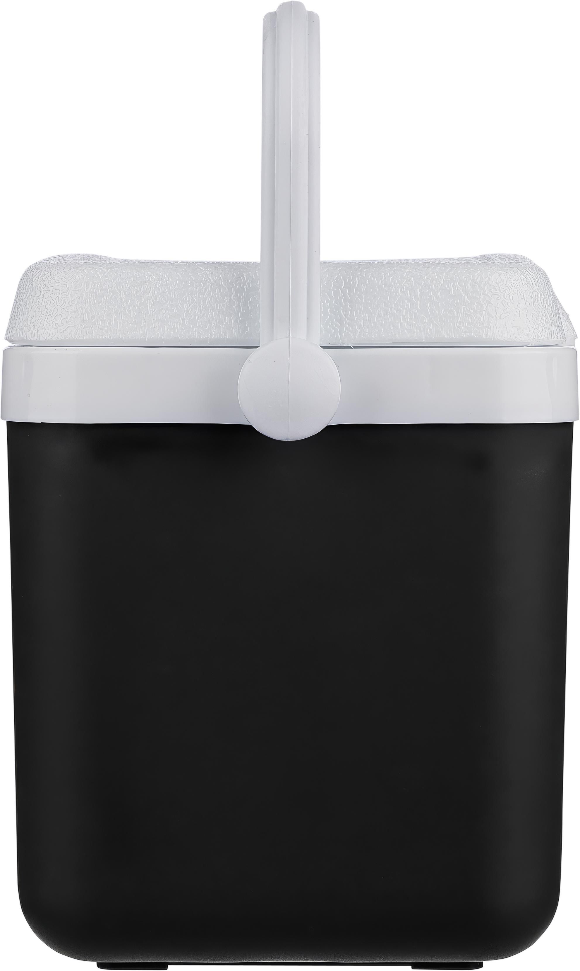 Nevera portátil 4l Sunkissed