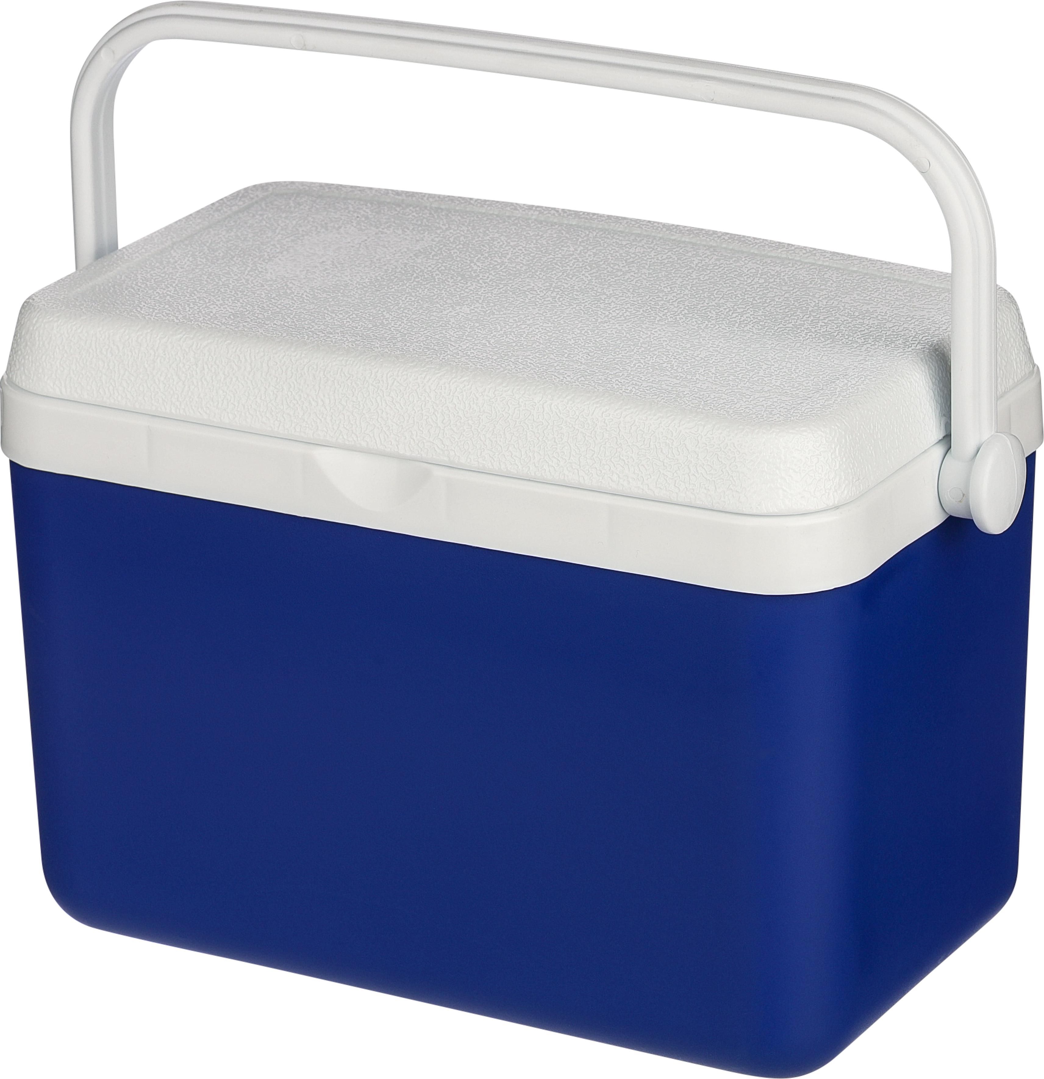 Nevera portátil 4l Sunkissed