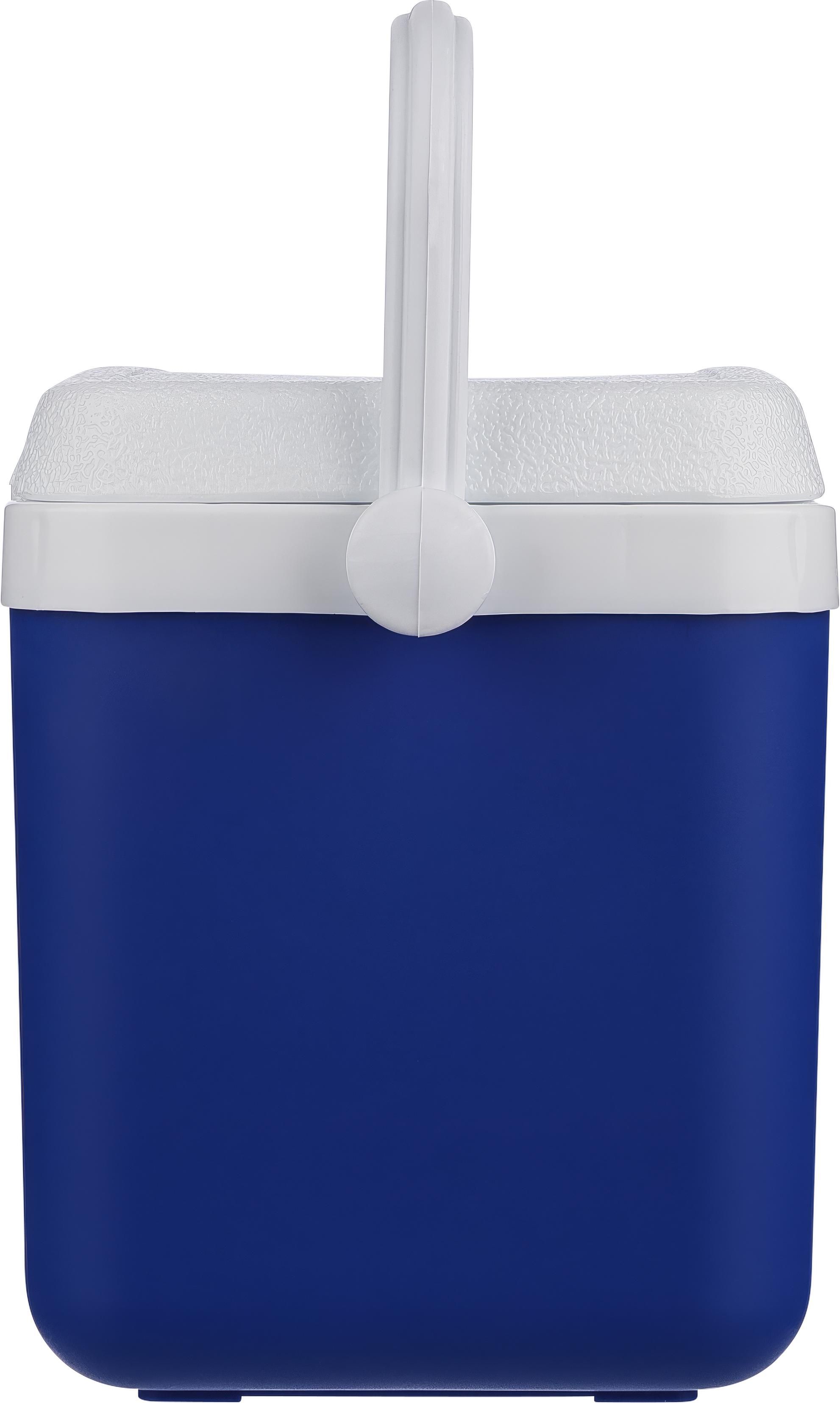 Nevera portátil 4l Sunkissed