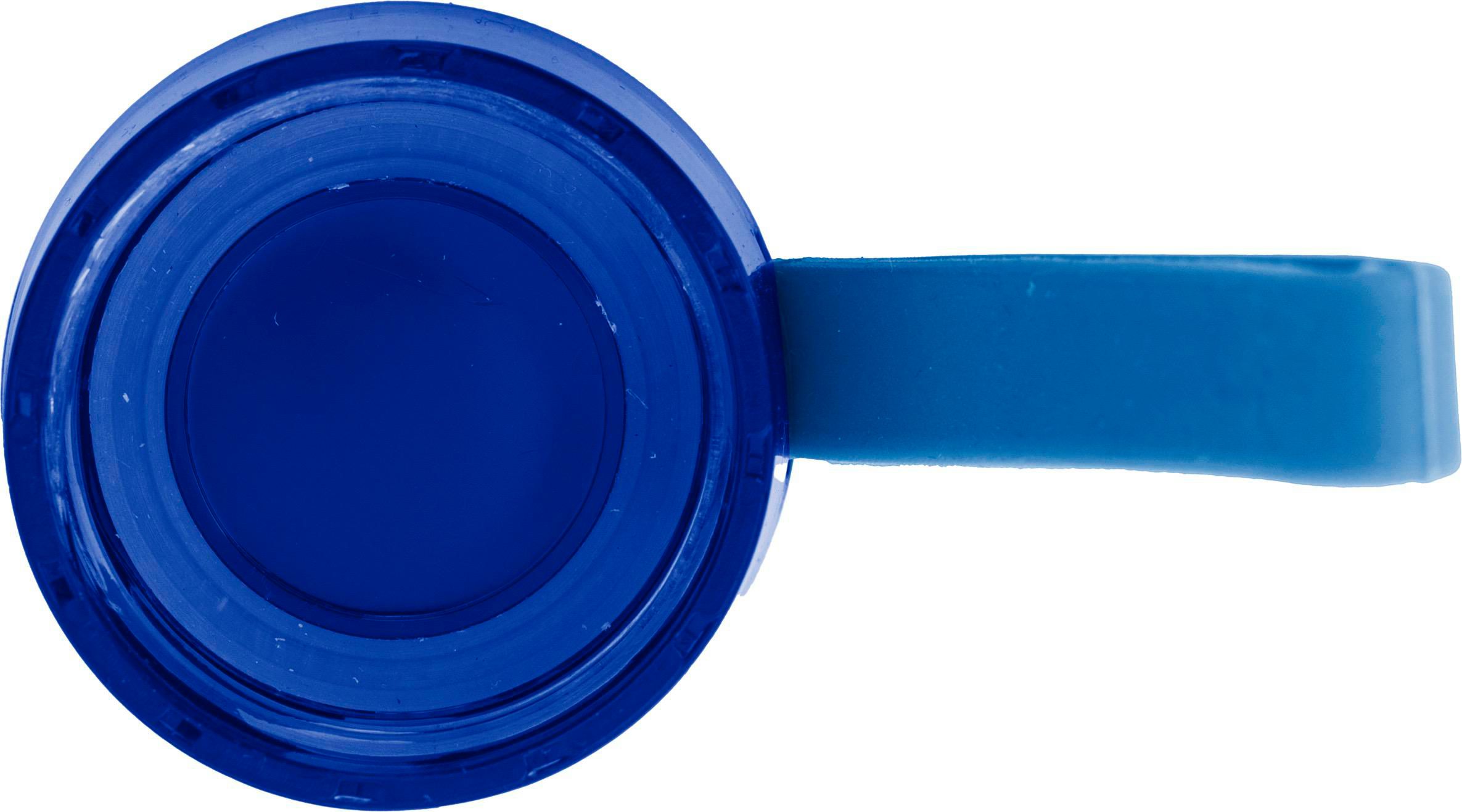 Drinking bottle | Glass | Colored lid | 500 ml