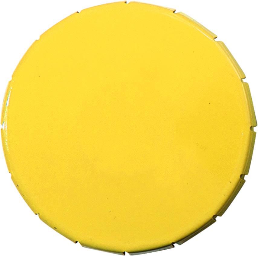 Mint tin Anika | Click lid