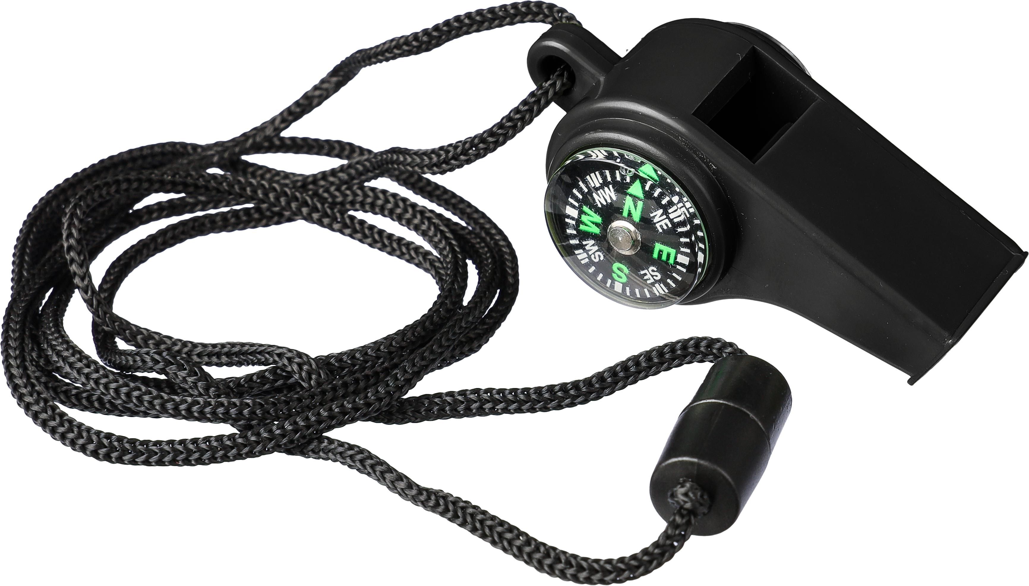 PP whistle Damon