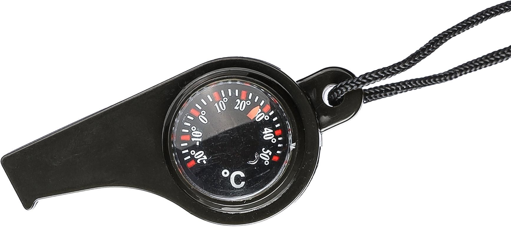 PP whistle Damon
