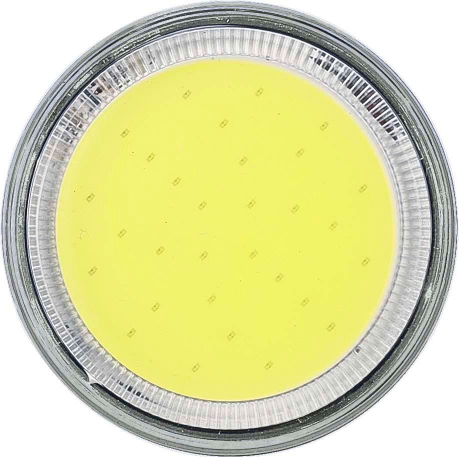 Flashlight Dan | COB | Rechargeable