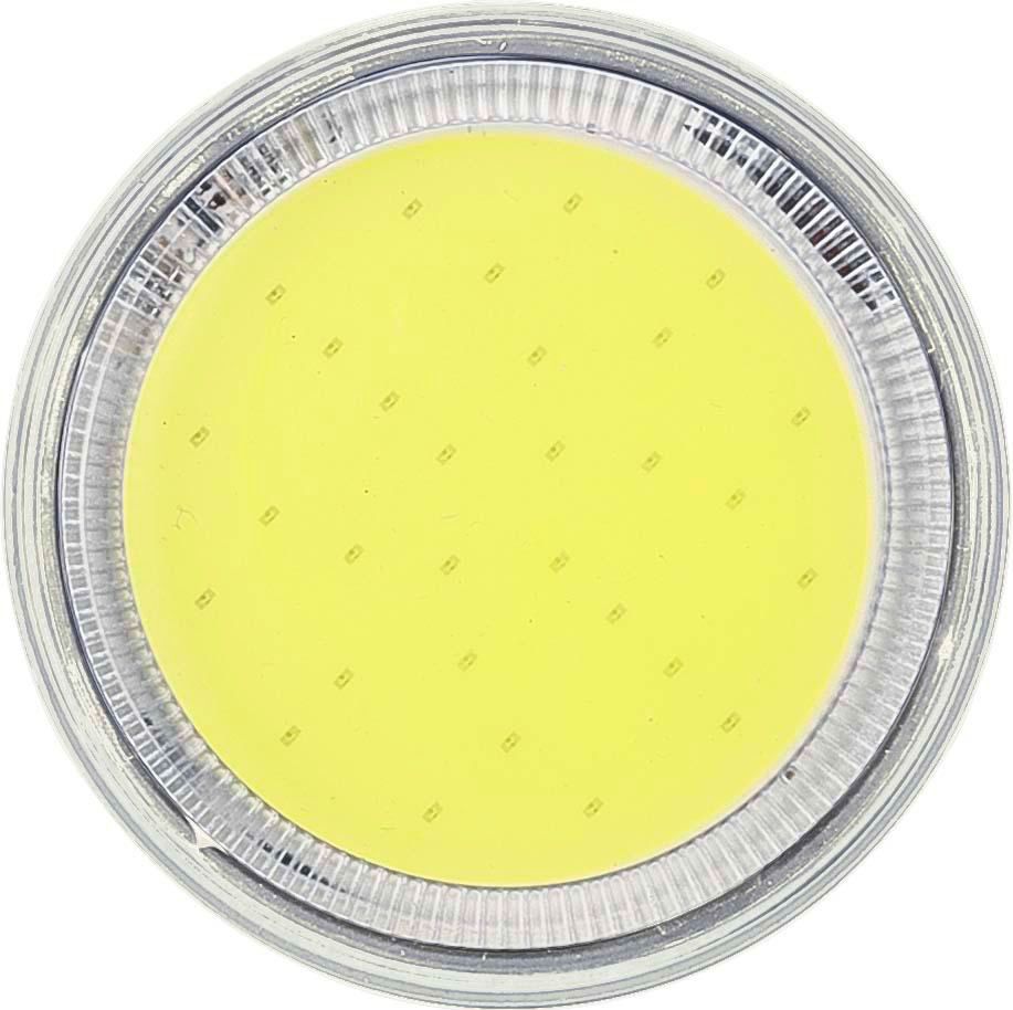 Flashlight Dan | COB | Rechargeable