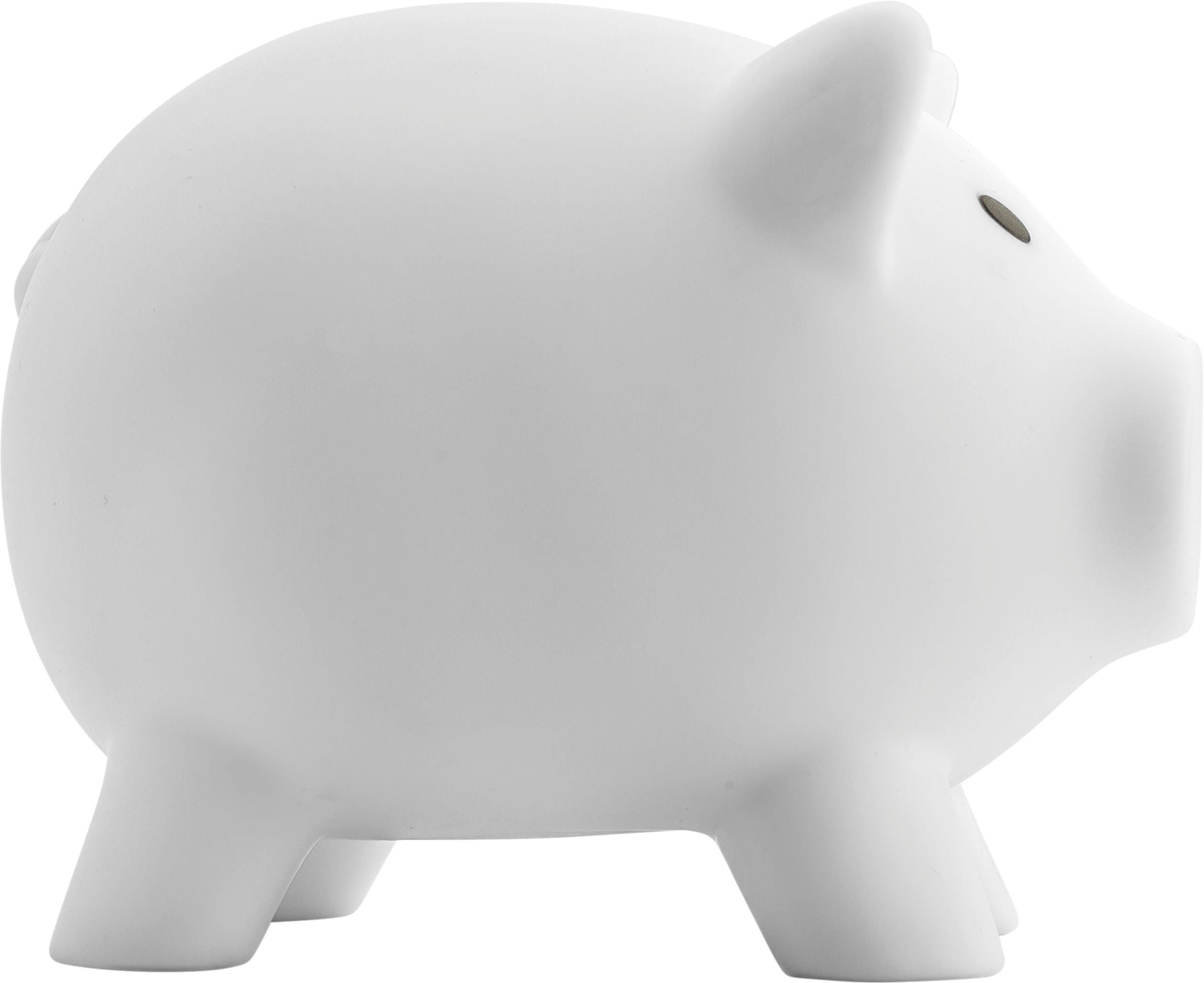 Piggy bank Roger