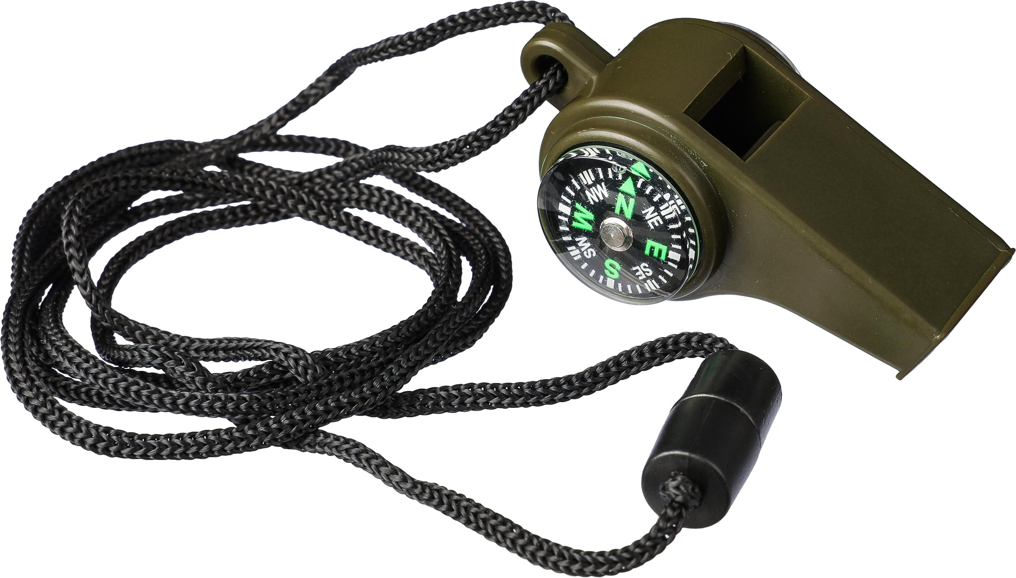 PP whistle Damon