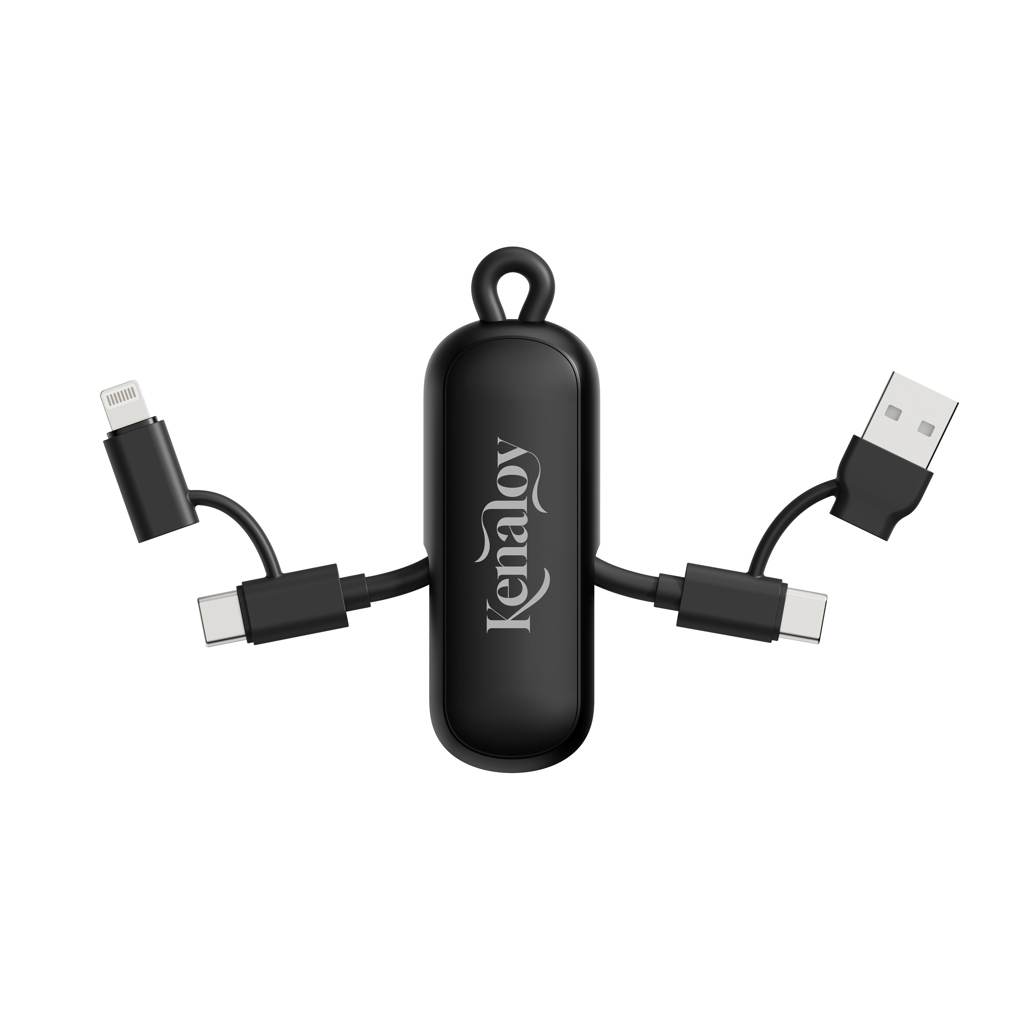 Cable llavero Urban Vitamin Dublin 100W 4 en 1