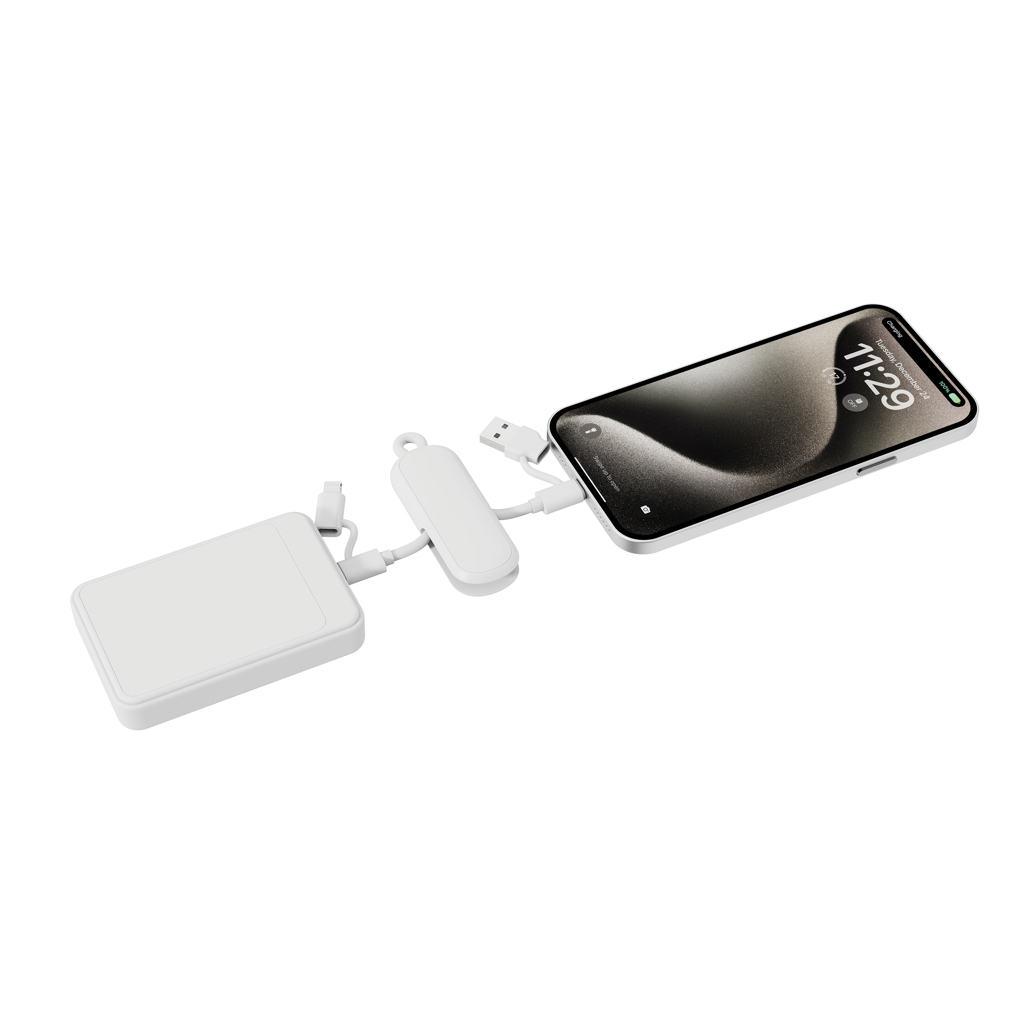 Cable llavero Urban Vitamin Dublin 100W 4 en 1
