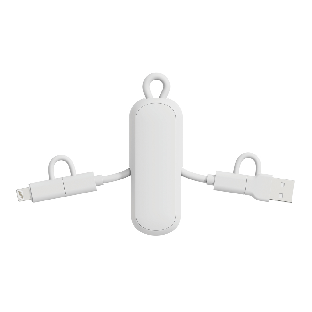 Cable llavero Urban Vitamin Dublin 100W 4 en 1