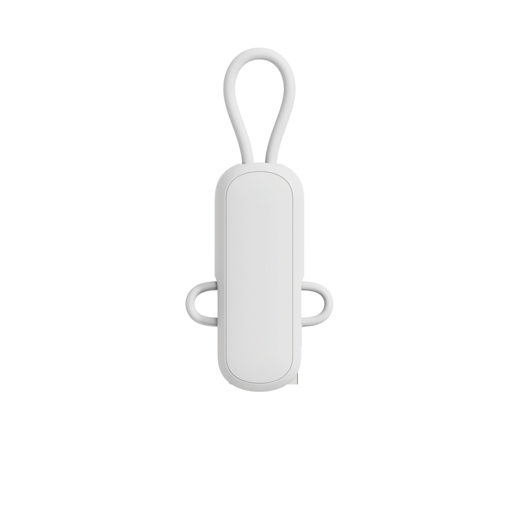 Cable llavero Urban Vitamin Dublin 100W 4 en 1