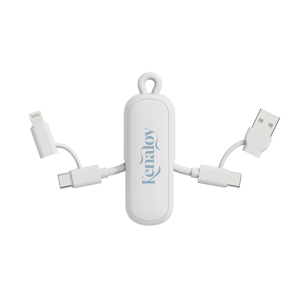 Cable llavero Urban Vitamin Dublin 100W 4 en 1