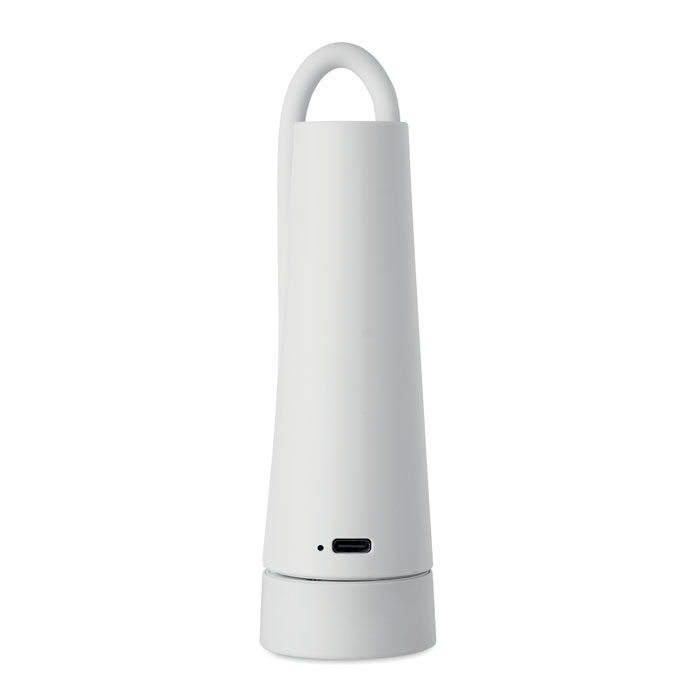 Torchlamp