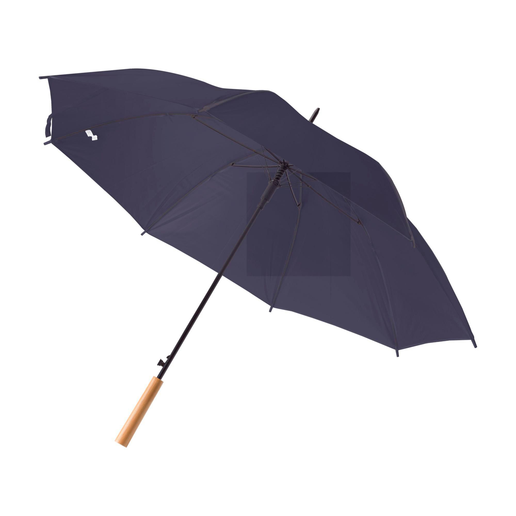 Umbrella Andy