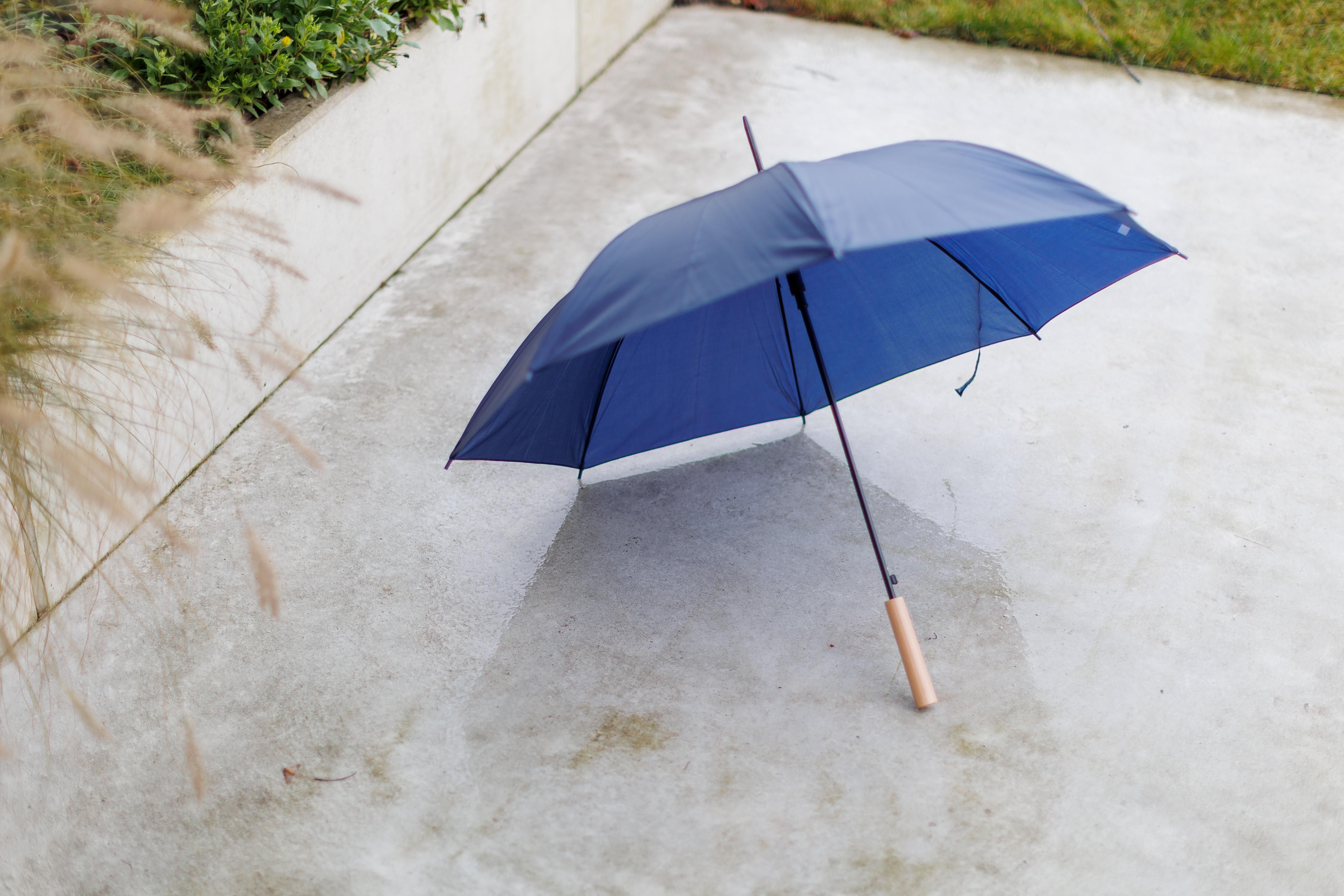 Umbrella Andy