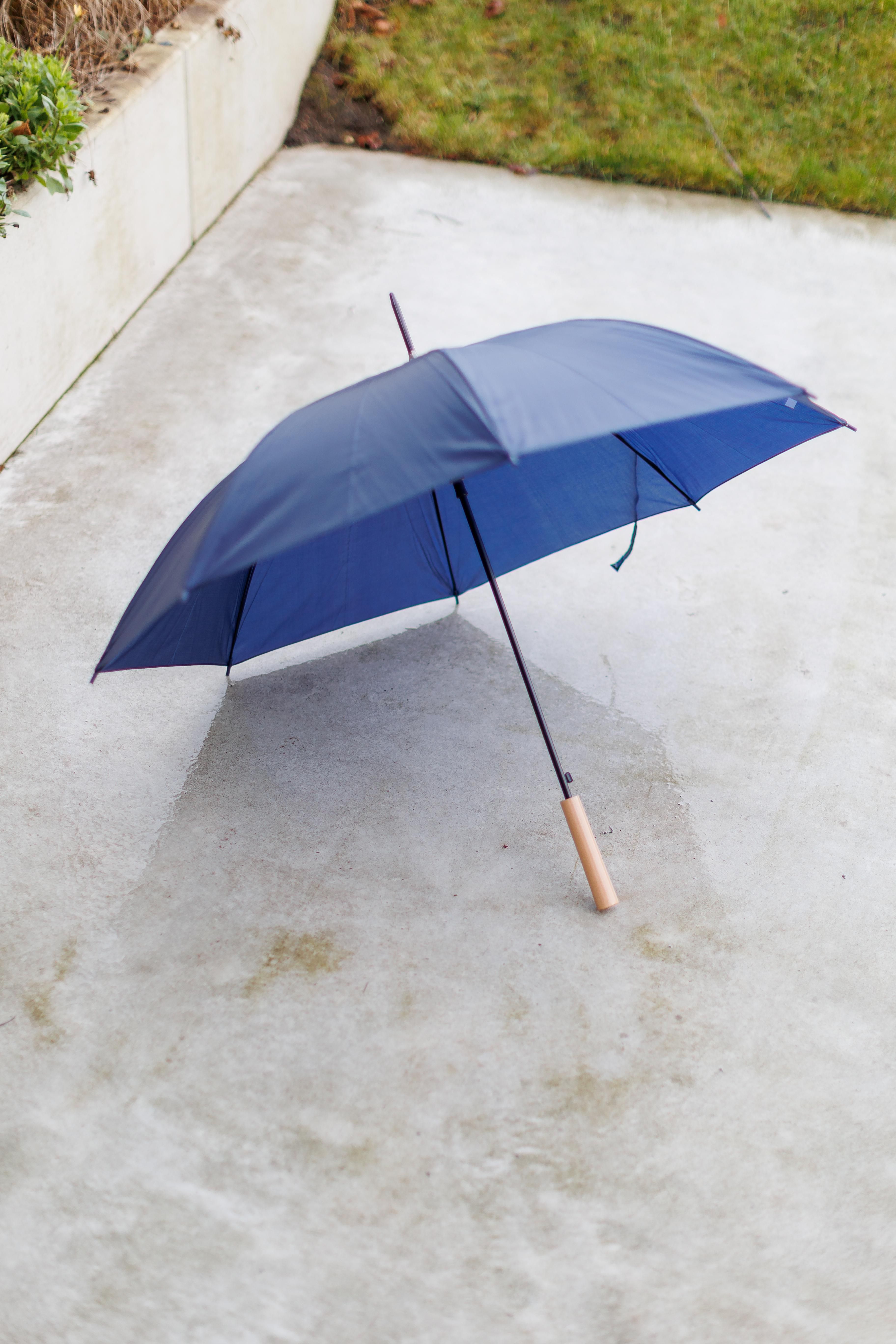 Umbrella Andy