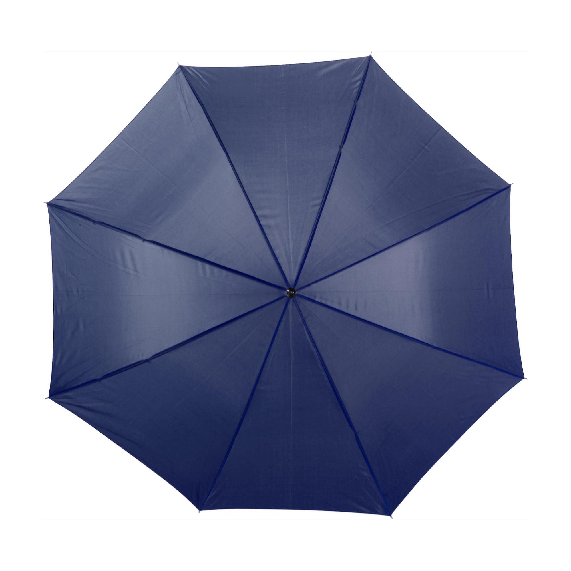 Umbrella Andy