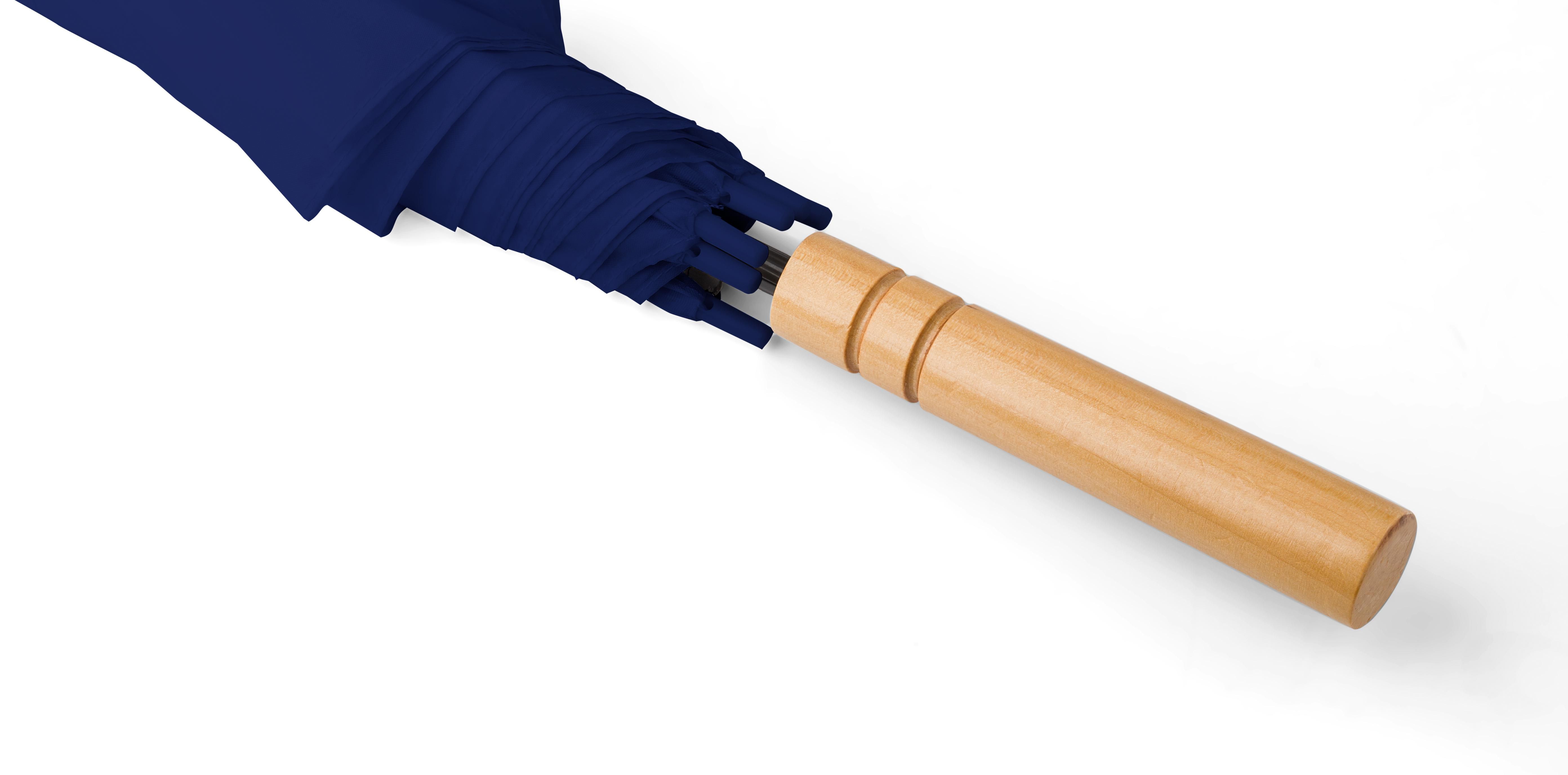 Umbrella Andy