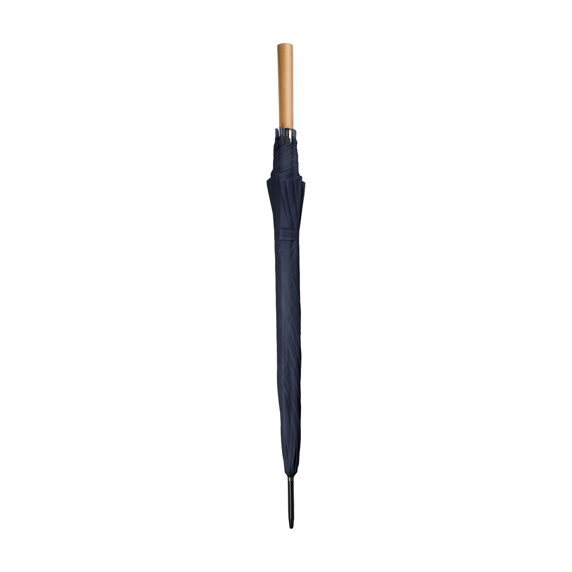 Umbrella Andy