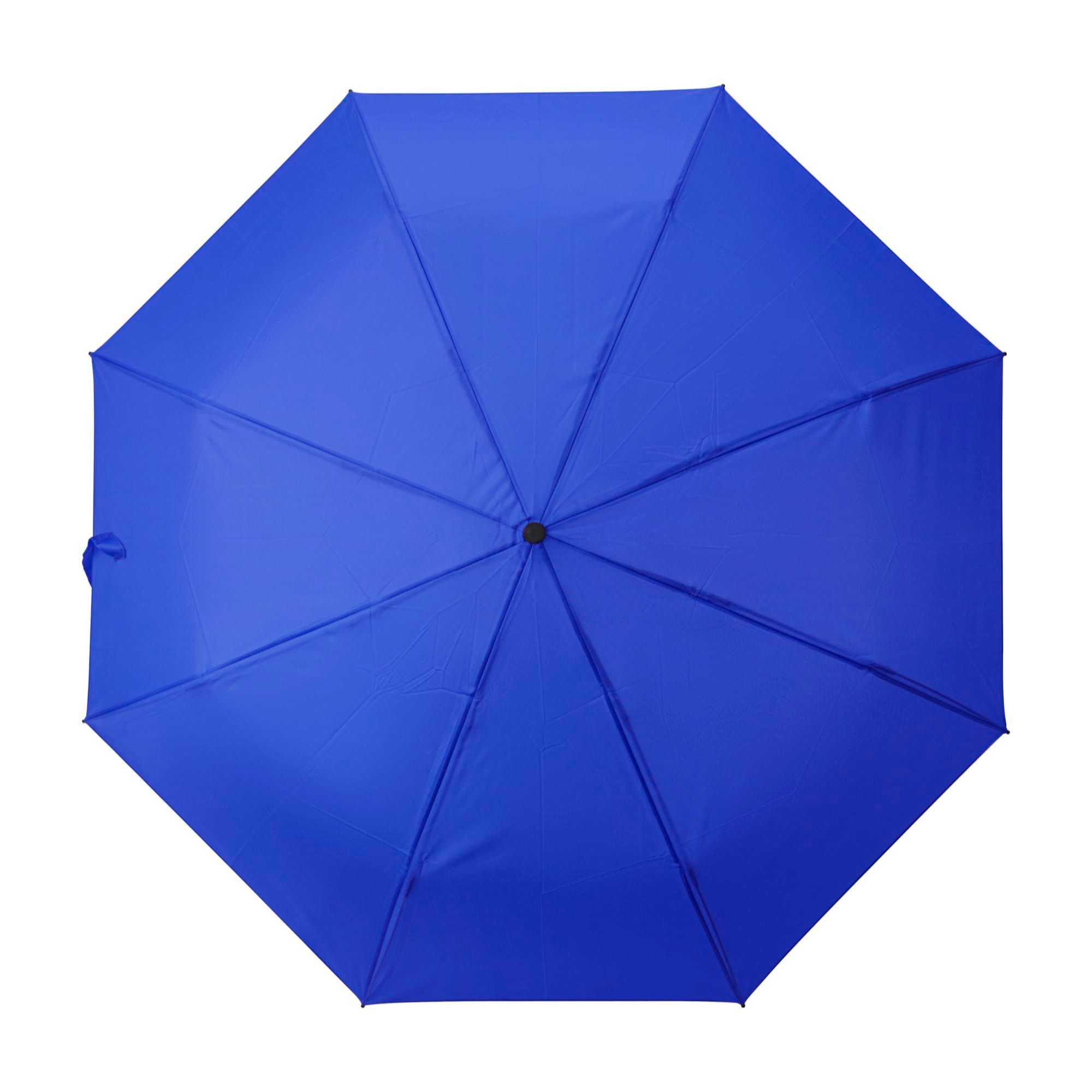 Umbrella Brooklyn