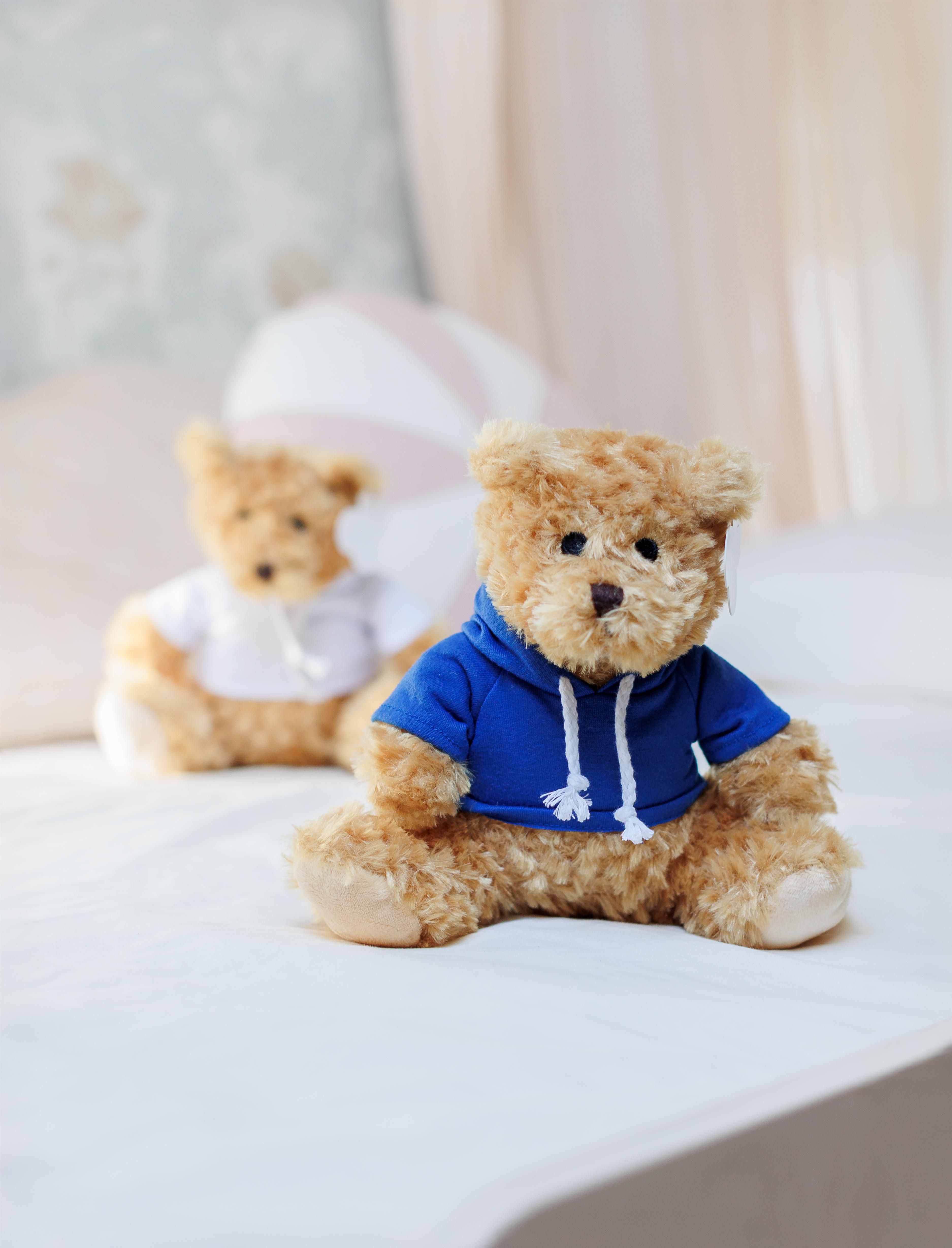 Oso de peluche con sudadera Monty