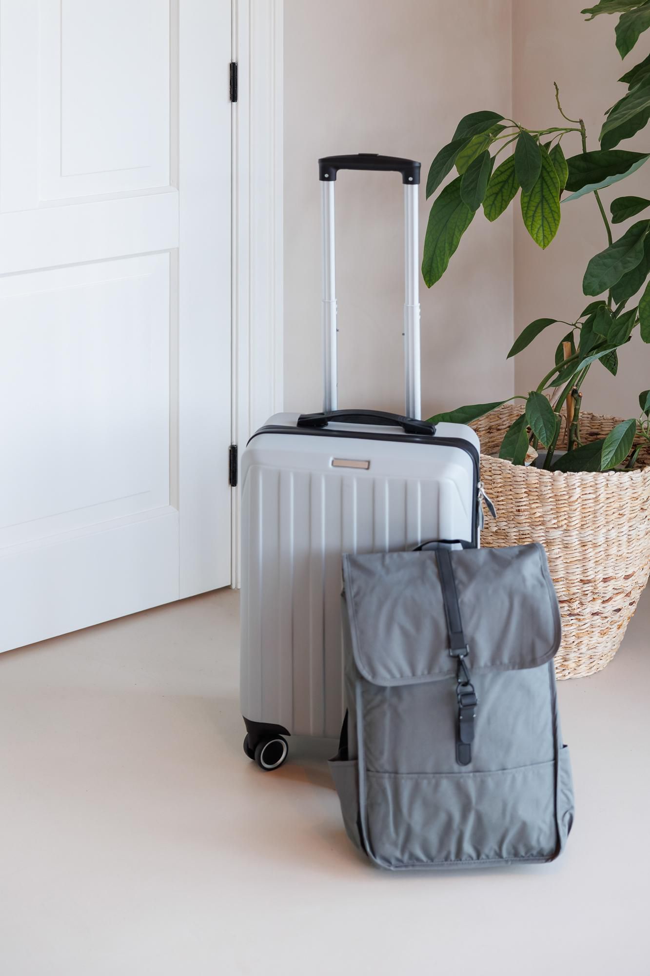 Luggage trolley Alaric | 20 inch | 30 l