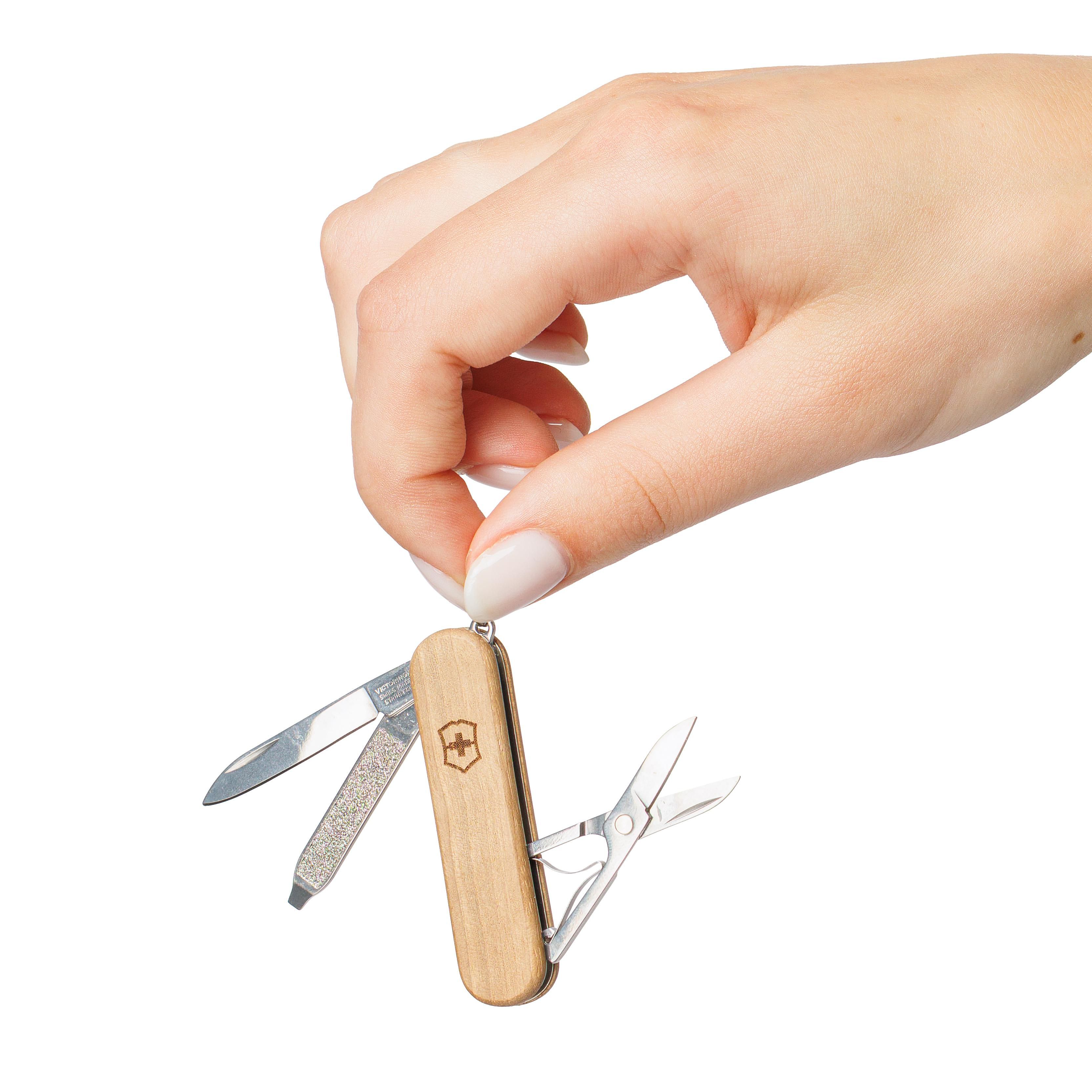 Victorinox pocket knife Classic SD Wood | 5 functions