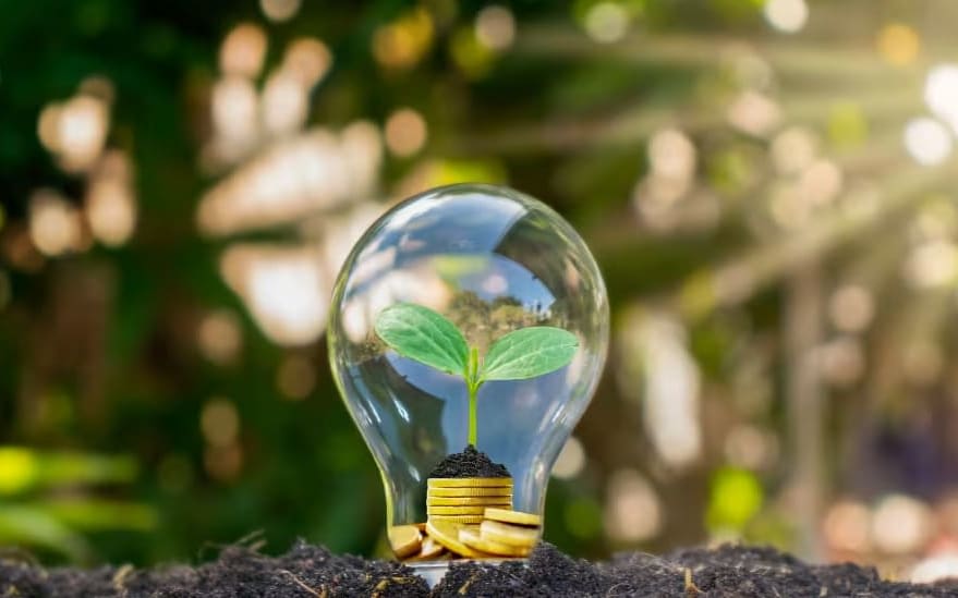 Økologisk lyspære med blad og jord inni