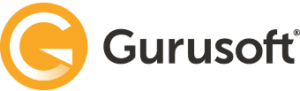 Gurusoft Report