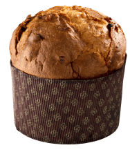 panettone christmas bread italian holiday tradition 