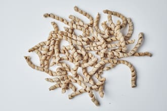 tumminia castelvetrano wholegrain busiate pasta