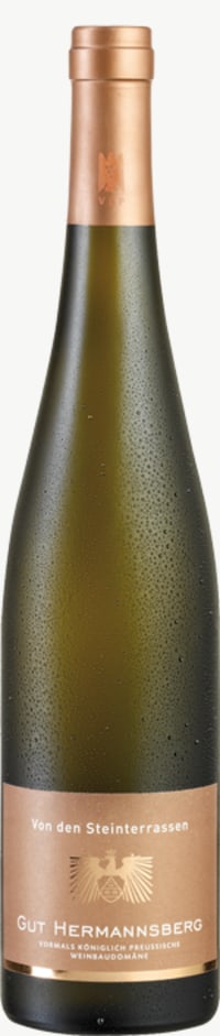 Steinterrassen Riesling trocken 2017
