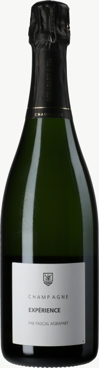 Champagne Brut Nature Experience Blanc de Blanc Grand Cru Flaschengärung 2007