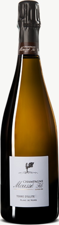 Champagne Terre d