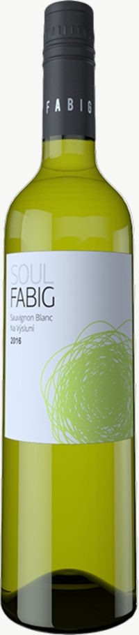 Sauvignon Blanc Na vysluni 2016