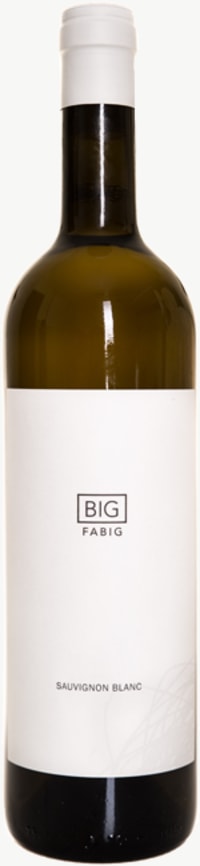 Sauvignon Blanc Barrel fermented 2016
