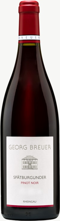 Spätburgunder - Pinot Noir