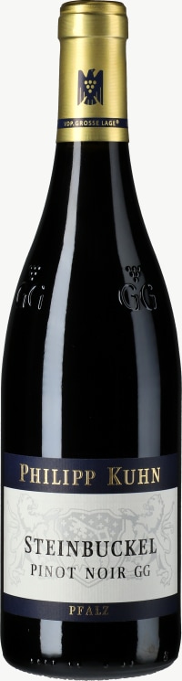Pinot Noir Laumersheimer Steinbuckel Großes Gewächs 2015