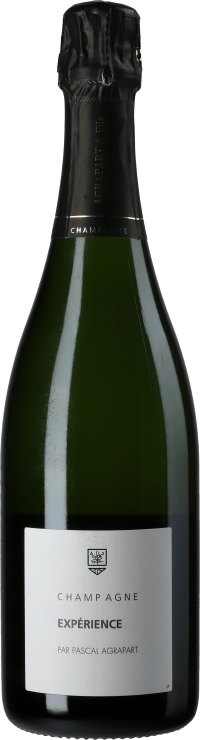 Champagne Brut Nature Experience Blanc de Blanc Grand Cru Flaschengärung 2007