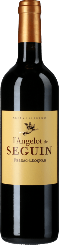 Chateau Seguin l
